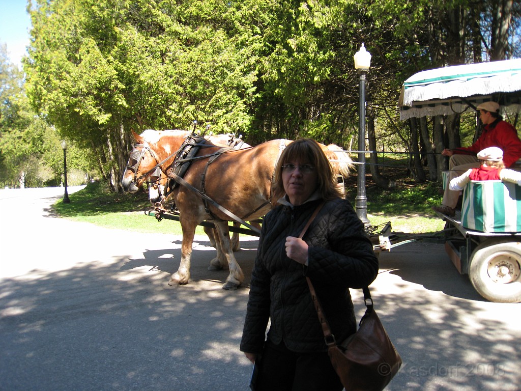 Mackinaw Island Area May 2008 0400.jpg - May 24 2008 a trip to Mackinac City for a 5 M race and a visit to Mackinac Island. A day to the UP, Paradise, Whitefish Point and Tahquamen Falls. This was followed by trips to Petoskey and Charlevoix.